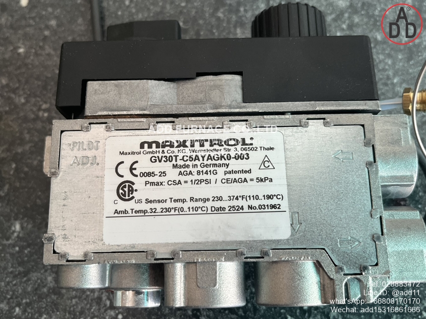 GV30T-C5AYAGK0-003 (17)